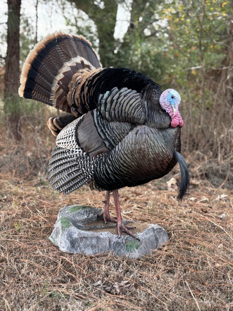 full strut turkey mount