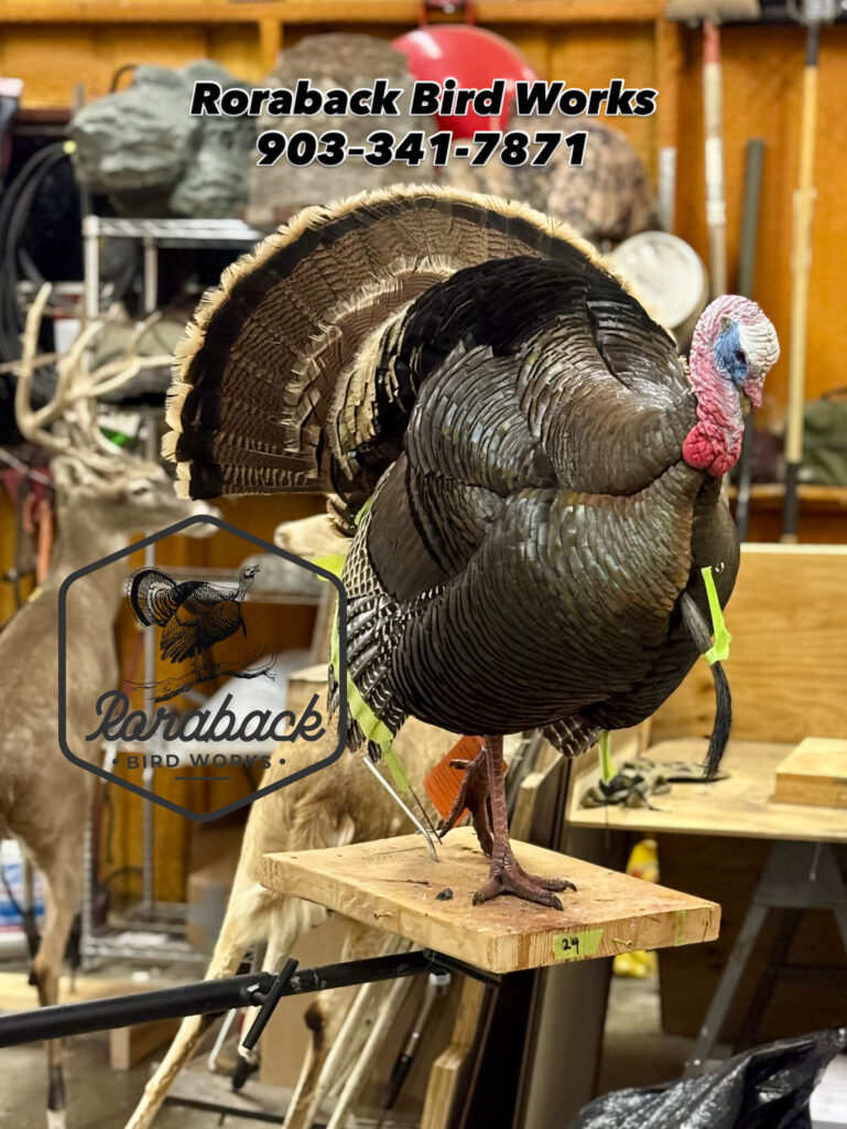 half strut turkey mount