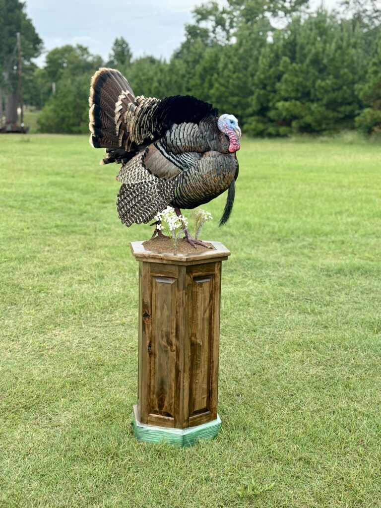 turkey mount on pedestal