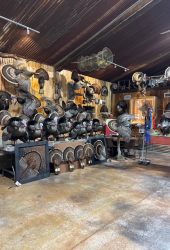 Roraback Bird Works shop with many mounts on display
