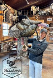 woman holding turkey mount