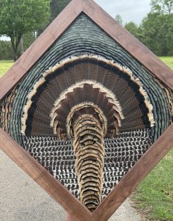 turkey feather art mount