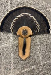 turkey fan art mount