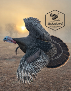 flying turkey mount across sunrise