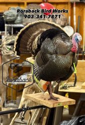 half strut turkey mount