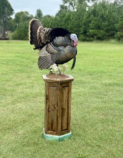 turkey mount on pedestal